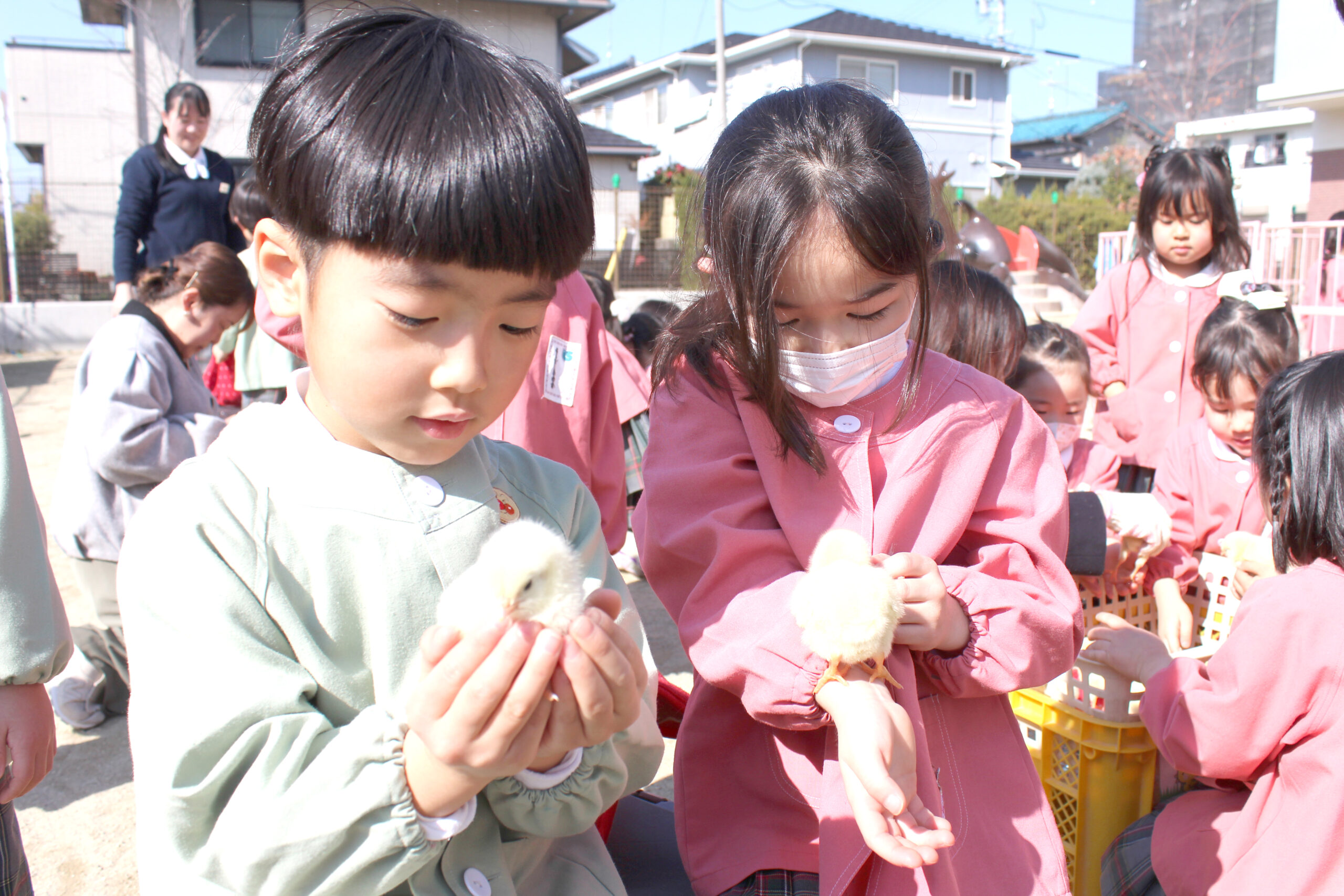 師勝はなの樹幼稚園に移動動物園が来た！ | 北名古屋ファクトブック